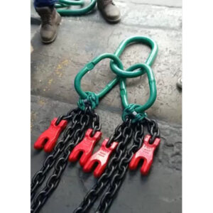 Pulpo de Cadena